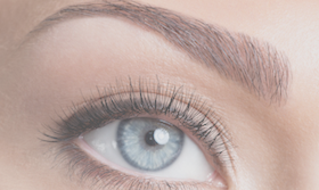 Eyebrow wax, shape, brow tint Greensboro, NC - Brow Lounge